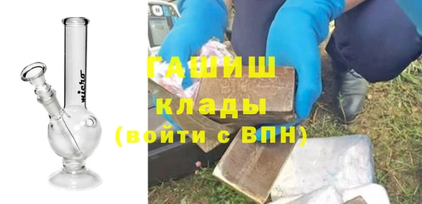 индика Аркадак