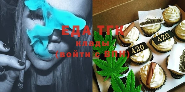 индика Аркадак