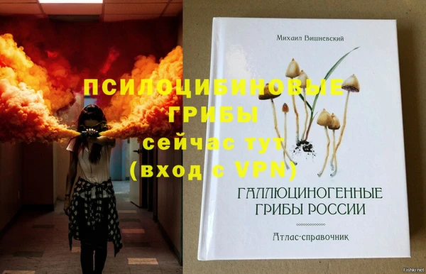 индика Аркадак