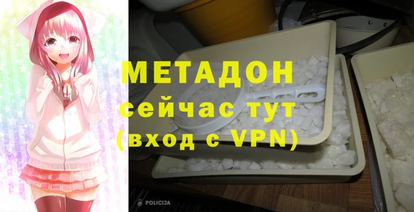 индика Аркадак